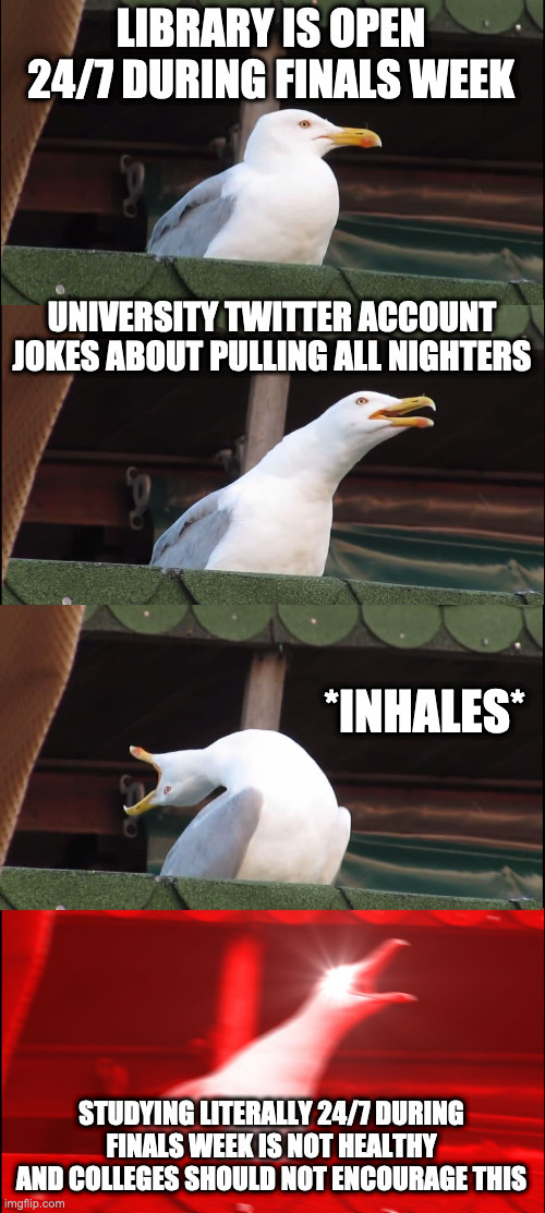 A meme that a student created. The meme is from a popular meme-format which shows across four pictures a seagull preparing to scream, which it does in the final of the four pictures. In the first picture, the student added the text “Library is open 24/7 during finals week.” In the second picture, the student added the text “University Twitter account jokes about pulling all nighters.” In the third picture, the student added the text “Inhales.” In the fourth picture that has the seagull screaming, the student added the text “Studying literally 24/7 during finals week is not healthy and colleges should not encourage this.”